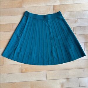 Stretchy Icons (Simons) green skirt.